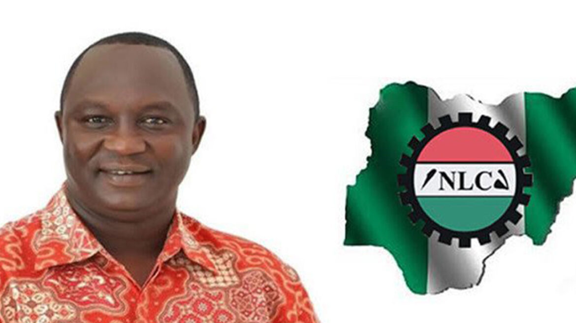 NLC-Wabba