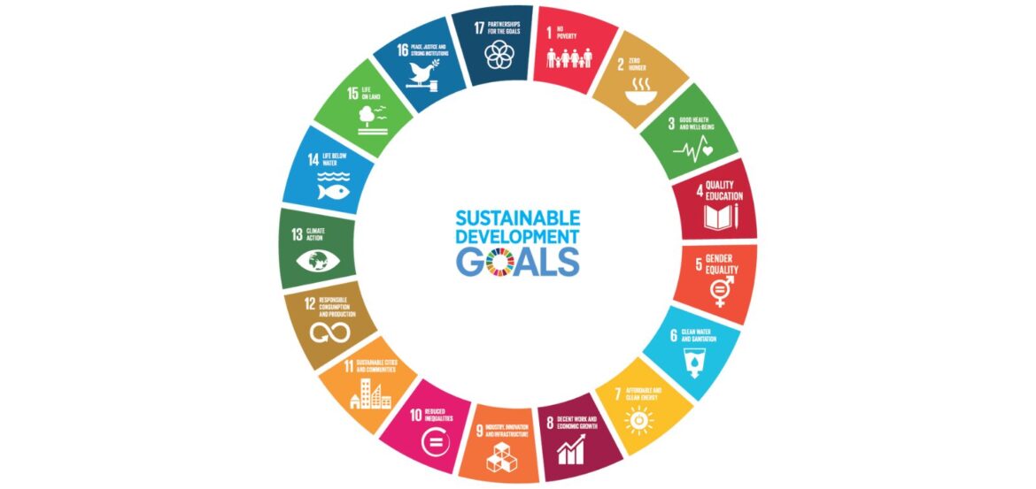 SDGs 17 goals