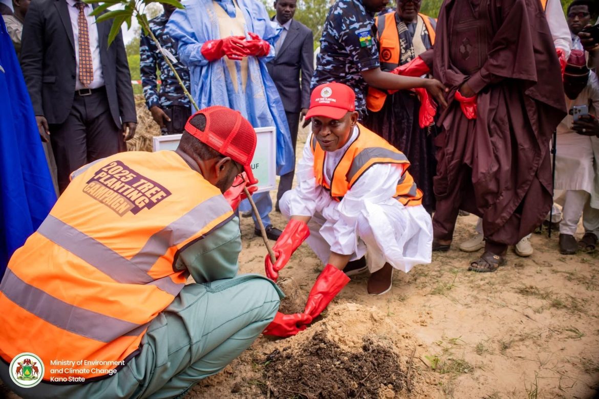 Governor Abba Yusuf plants trees