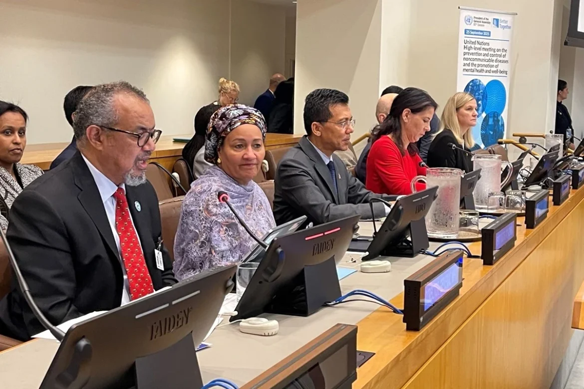 un-high-level-meeting-on-ncds-september-2025